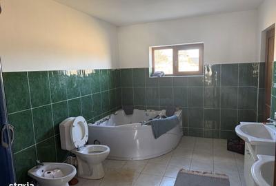 Casă cu 3 camere cu Teren 10000 Mp în Mitocu Dragomirnei - 13