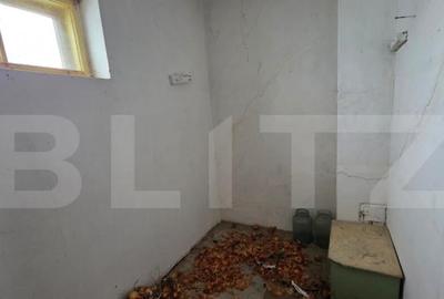 Casa cu teren 32 ari Viile Tecii, la 30 km de Bistri?a - 15