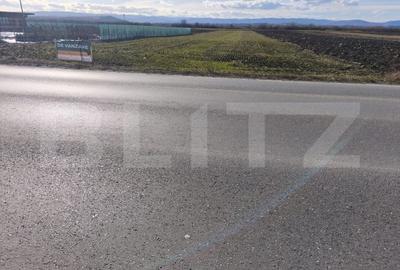 Teren intravilan ,4900 mp , 25ml front, Fratautii Vechi, Radauti - 4