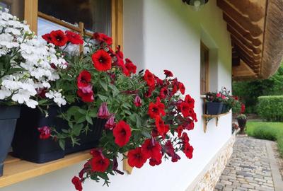 Casa in stil Taditional Romanesc , 170 mp, curte 500mp, strada privata - 3