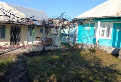 Casă cu 4 camere cu Teren 4400 Mp în Costișa - 7