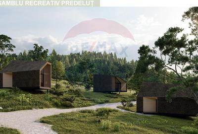 Teren Construcții intravilan de 24253 mp, în Predeluț - 9