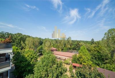 Inchiriere Apartament 3 Camere Erou Iancu Nicolae - 16