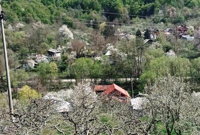 Casă cu 3 camere cu Teren 2800 Mp în Boțești - 2