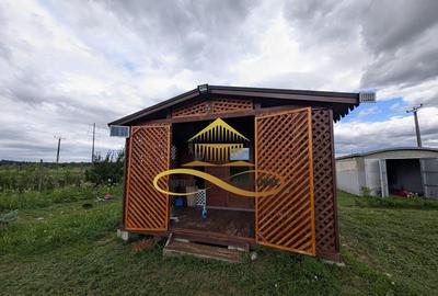 Teren cu Zona Intravilana, Bacau-Lilieci, 1200 mp - 4