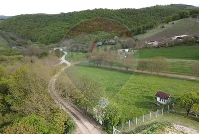 Teren extravilan de 3826 mp, în Moldovenești - 5