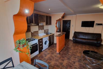 Apartament cu 2 camere semidecomandat, mobilat în Unirii - 5