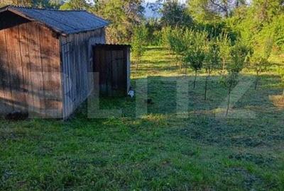 Casa la munte, teren 8324 mp, anexe, zona comuna Bucium - 12