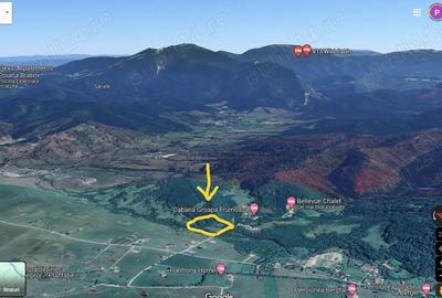Teren de 10000 mp, în Glăjărie - 5