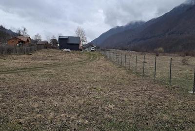 Teren de 1000 mp, în Malaia - 2