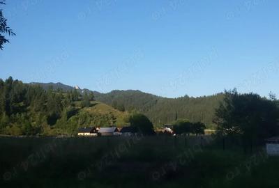 Casă cu 4 camere cu Teren 4400 Mp în Corbu - 5