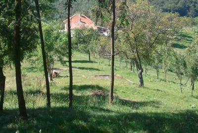 Teren livadă cu panoramă superbă Dealul Malului pentru casă sau cabană - 7