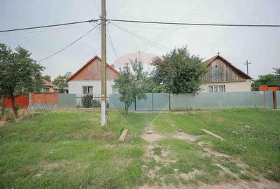 Casă cu 3 camere cu Teren 3205 Mp în Sânnicolau Român - 1