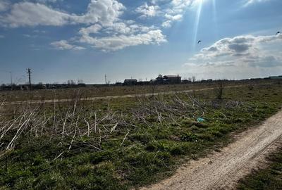 Teren Construcții intravilan de 475 mp, în Techirghiol - 5