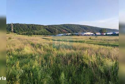 Spațiu comercial, în Gilău - 1