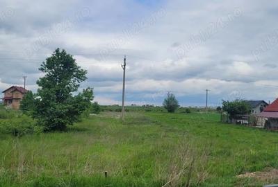 Teren de 3600 mp, în Brășăuți - 5