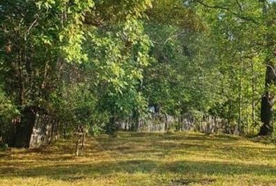 Teren Construcții intravilan de 4972 mp, în Bertea - 8