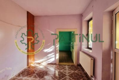 Casă cu teren generos 802 mp – Cartier Turnișor, Sibiu - 12