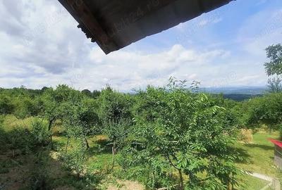 Teren 6926 mp de vanzare in Valea Danului jud Arges - 2