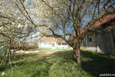 Casă în Lipovei - 1