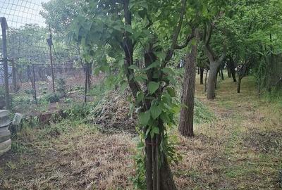 Casă cu 2 camere cu Teren 390 Mp în Central - 6
