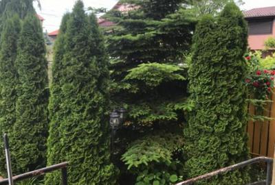 Casa S+P+1+M km5 - 12