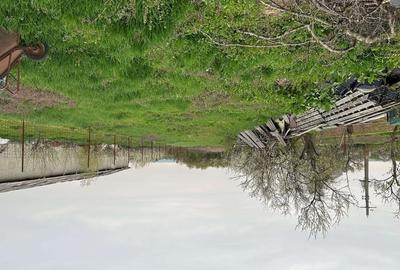 Teren Construcții intravilan de 5000 mp, în Preajba - 3