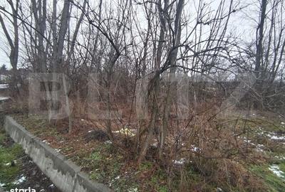 Spațiu comercial, în Priseaca - 2