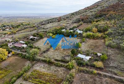 Teren de 3044 mp, în Niculițel - 3