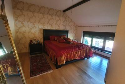 Vila generoasa in zona foarte linistita Vila generoasa in zona foarte linistita - 16