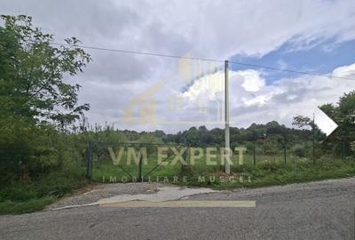 TEREN 20.621 MP CAMPULUNG - 8