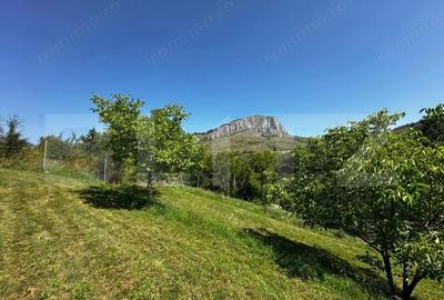 Teren deosebit de vanzare 1800 mp, Cheile Vali?oarei livada de nuci - 7