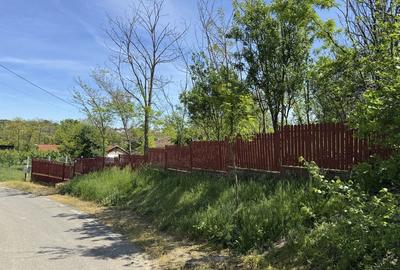Casă cu 4 camere în Poșta Câlnău - 6