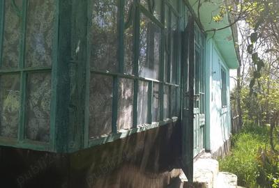 Casă cu 3 camere cu Teren 3050 Mp în Podu Iloaiei - 1