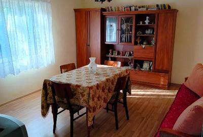 Casă individuală cu 5 camere cu Teren 3000 Mp în Central - 2