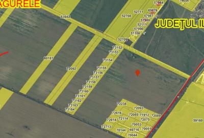 Teren intravilan neimprejmuit CF 74818, 4451mp - 7