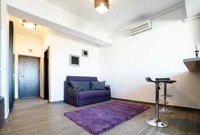 Apartament cu 1 camera, decomandat, etajul 5/11, zona Palat - 4