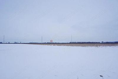 Teren de 40000 mp, în Tractorul - 1