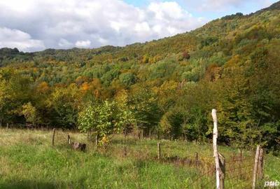 Vand casa la munte - 5