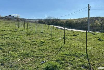 Teren de 680 mp, în Goruni - 3