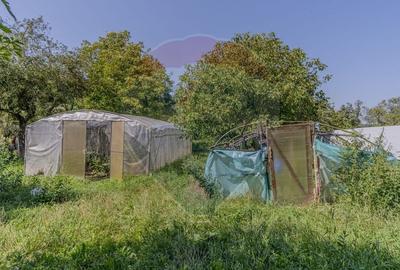 Casa saseasca cu Poveste in inima Transilvaniei/5500 mp teren/Bunesti - 26