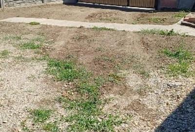 Vand teren sannicolau mare - 1