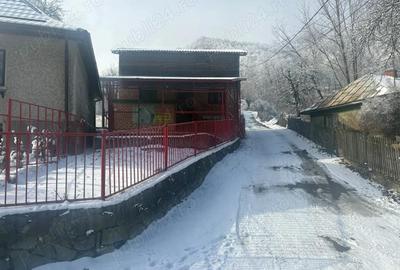 Casă cu Teren 285 Mp în Lunca Mare - 4