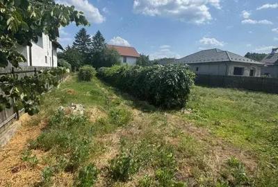 Vila Merisani la doar 15 km de centrul Pitestiului - 3