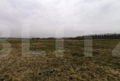 Teren de 750 mp, în Sopor - 2