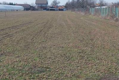 Teren de 2500 mp, în Tătărani - 4