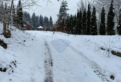 Hotel / Pensiune cu 6 camere de vanzare - 13