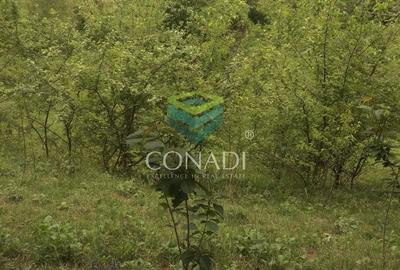 Teren de 800 mp, în Central - 10