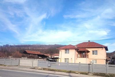 Teren de vanzare – oportunitate de investitie – DN67, Barsesti - 2