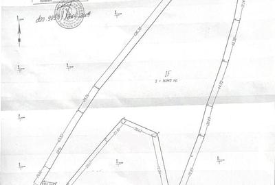 Vanzare teren Colibita - Bistrita-Nasaud - 16950mp - 1